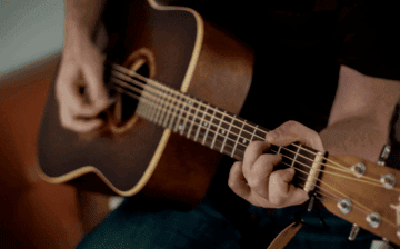Beginner Fingerstyle Picking